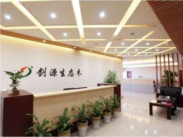 劍源木塑寶劍出鞘，創新科技引領環保新風尚