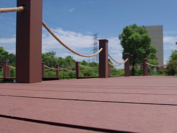 奮勇創新 沖天而舞