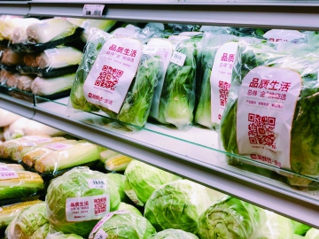 如何讓包裝“綠”起來？