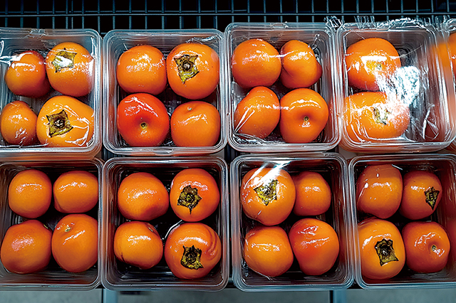 橙色水果透明塑料盒